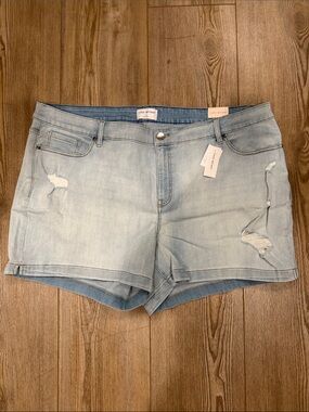 Lane Bryant Light Blue Distressed Denim Shorts